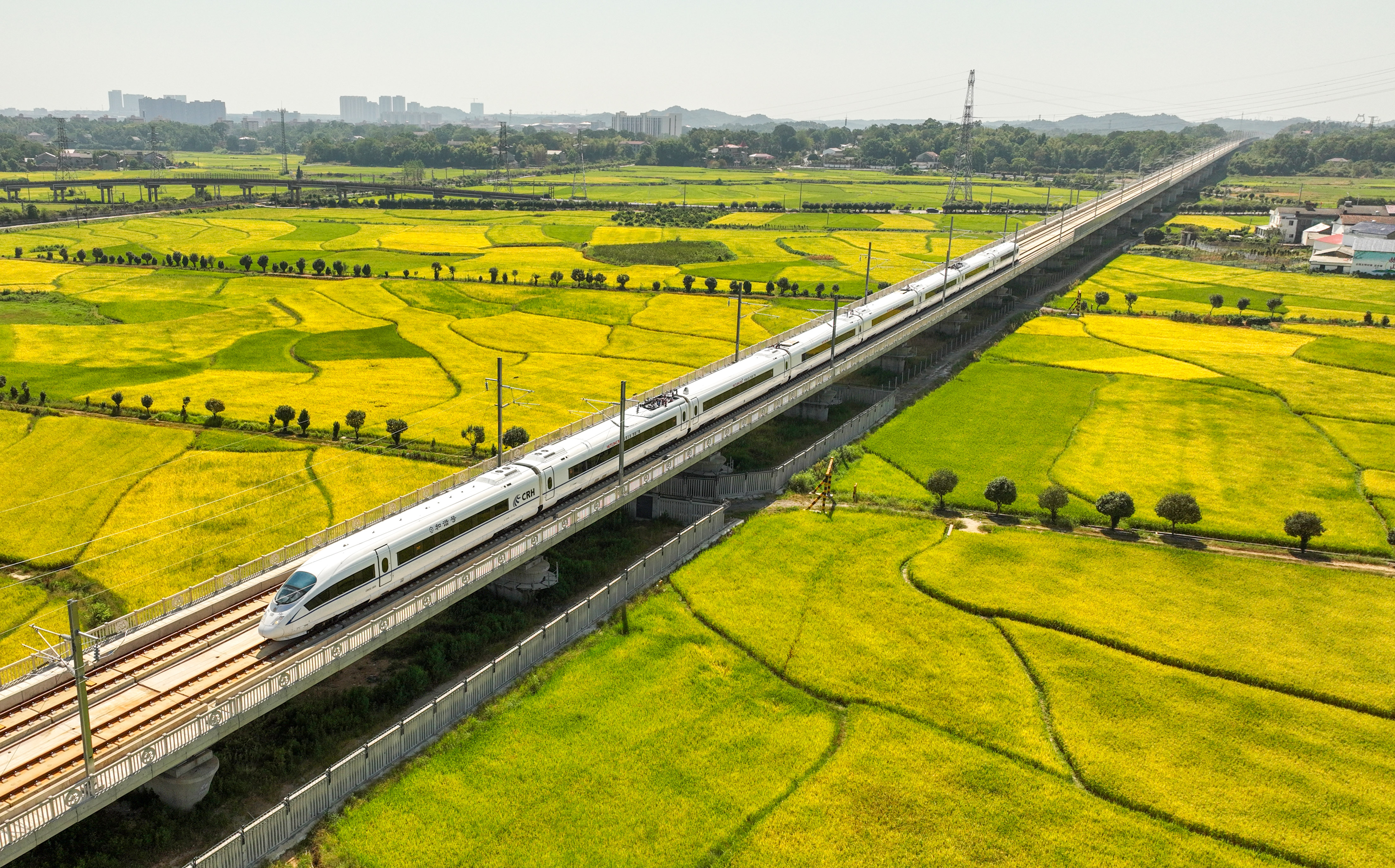 20240919913607.jpg 2022年9月4日,渝厦高铁长沙到益阳段通车运营。湖南日报全媒体记者 郭立亮 摄 (2).jpg